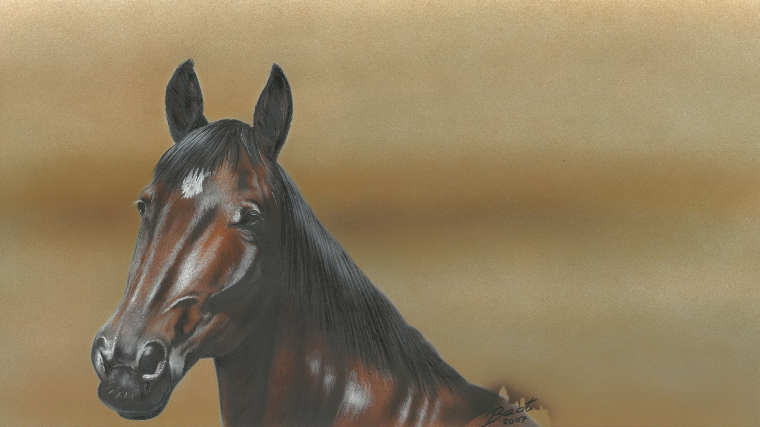 Sportlich aktive Tiere